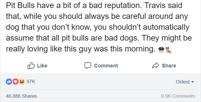 police-officer-vicious-dog-call-american-bully-texas-15