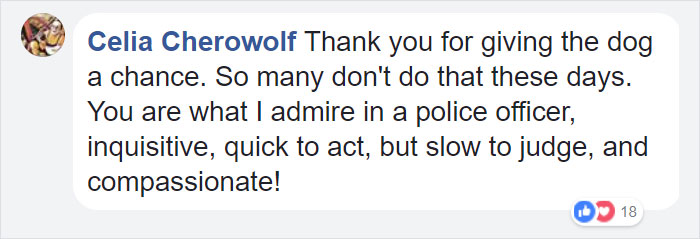 Cop Responds To A Call About A Vicious Dog, Doesn't Expect This Kind Of Attack Cop Responds To A Call About A Vicious Dog, Doesn't Expect This Kind Of Attack