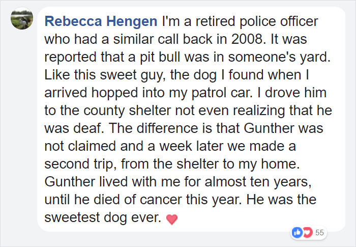 Cop Responds To A Call About A Vicious Dog, Doesn't Expect This Kind Of Attack