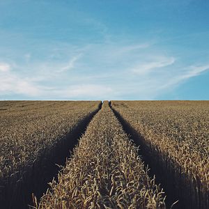 nickbelanger31 avatar