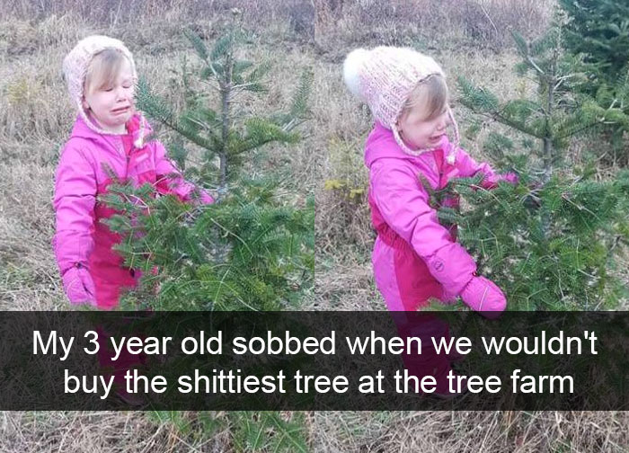 My 3 Year Old Sobbed When We Wouldn't Buy The Shittiest Tree At The Tree Farm