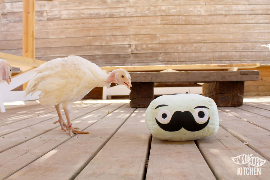 These Veggie Plushies Will Make You Fall In Love With Healthy Food!