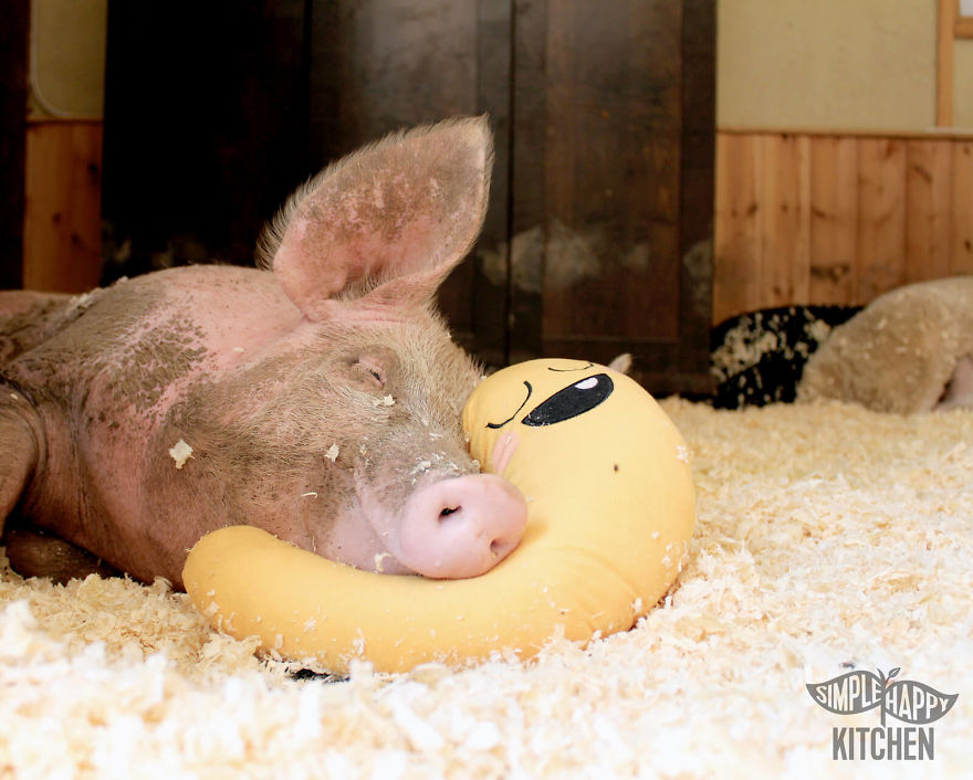 These Veggie Plushies Will Make You Fall In Love With Healthy Food!