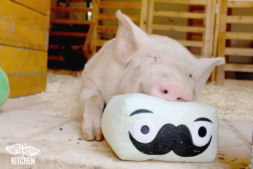 These Veggie Plushies Will Make You Fall In Love With Healthy Food!