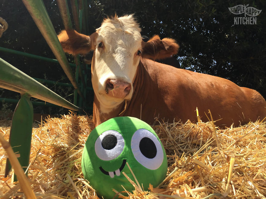 These Veggie Plushies Will Make You Fall In Love With Healthy Food!