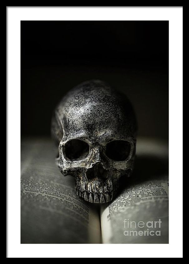 I Create Art Out Of Human Skulls I Create Art Out Of Human Skulls