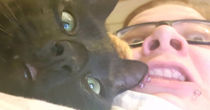 People Are Laughing At The Way This Cat Reacts To Being Allowed On The Balcony For The First Time People Are Laughing At The Way This Cat Reacts To Being Allowed On The Balcony For The First Time