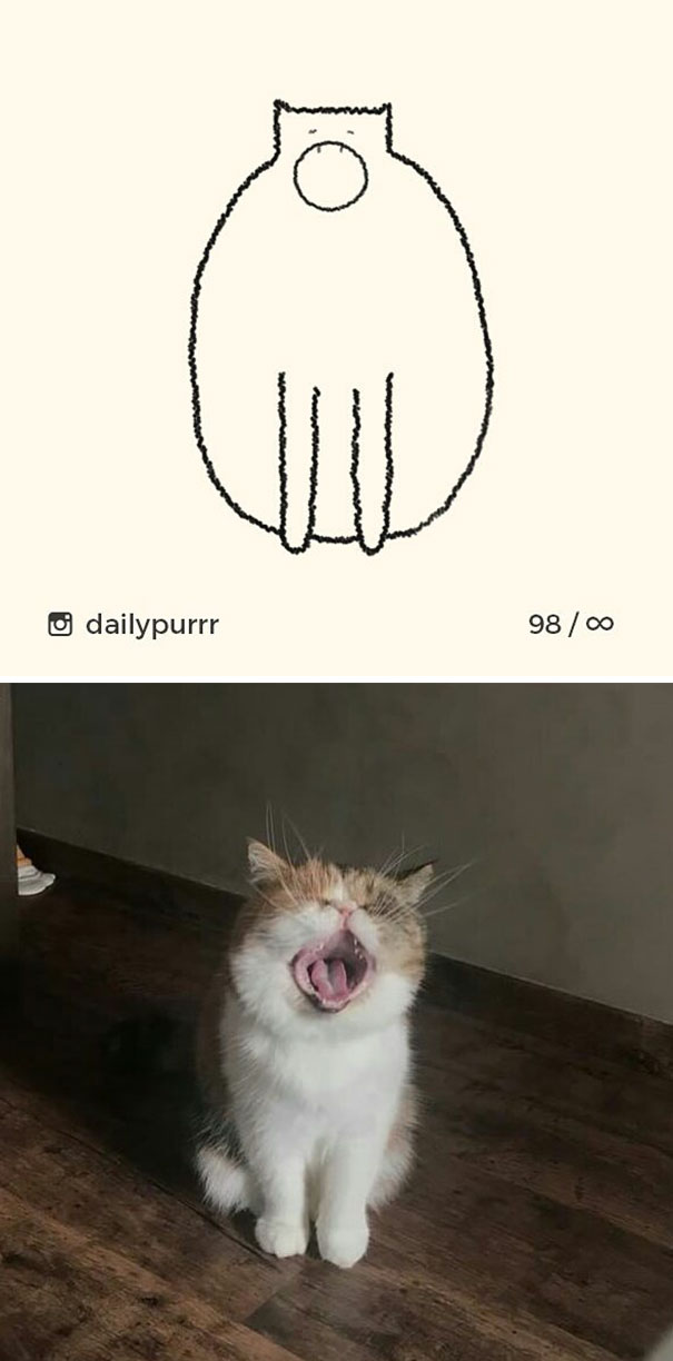 Stupid-Cat Drawings-Dailypurrr