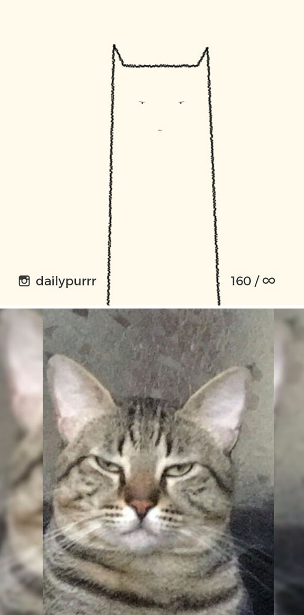 Stupid-Cat-Drawings-Dailypurrr