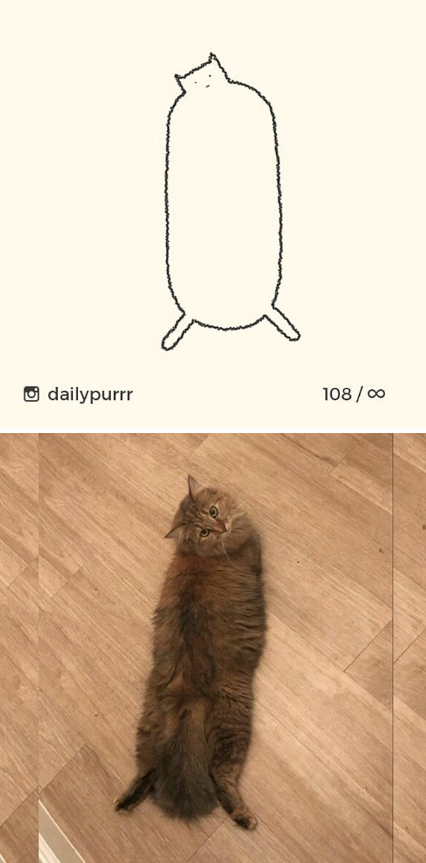 Stupid-Cat Drawings-Dailypurrr