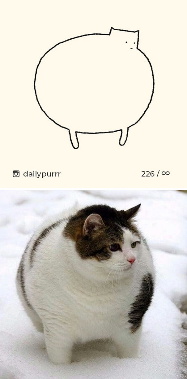 Stupid-Cat Drawings-Dailypurrr