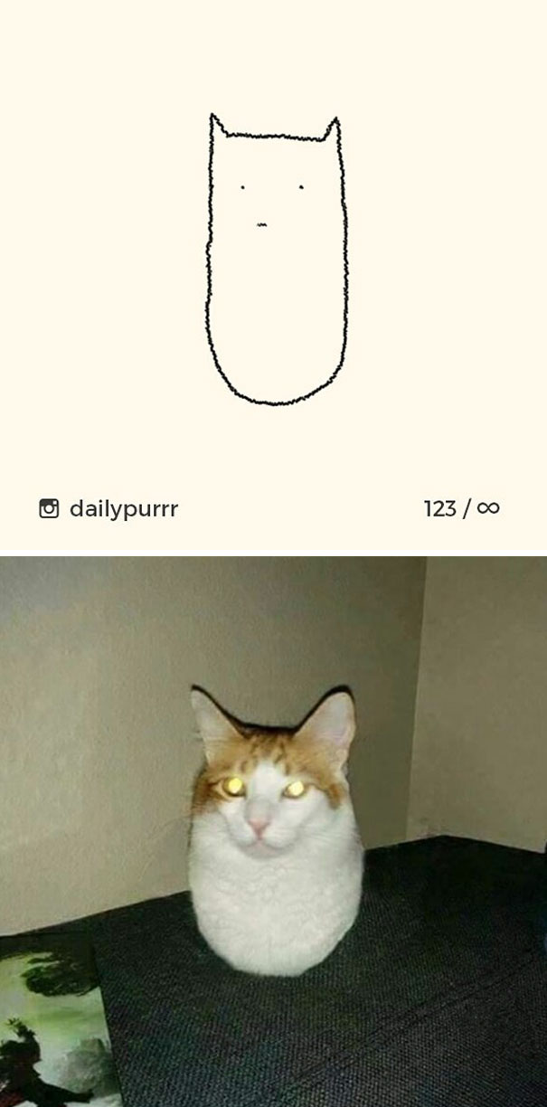Stupid-Cat Drawings-Dailypurrr