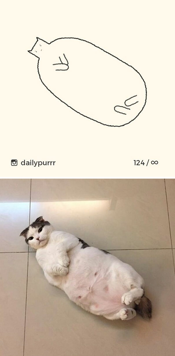 Stupid-Cat Drawings-Dailypurrr