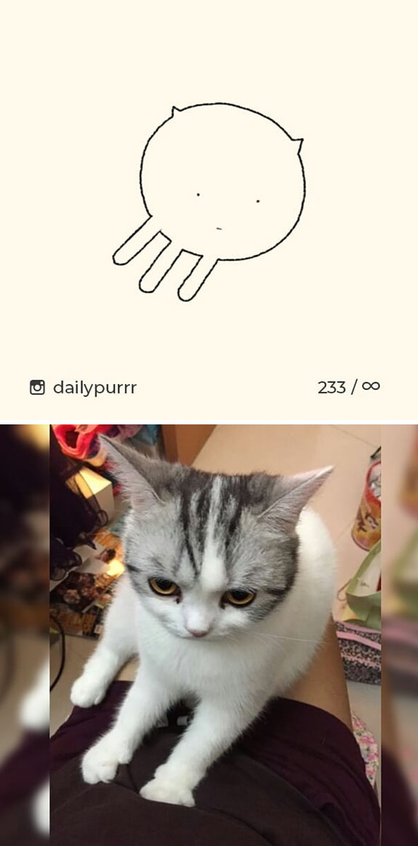 Stupid-Cat Drawings-Dailypurrr