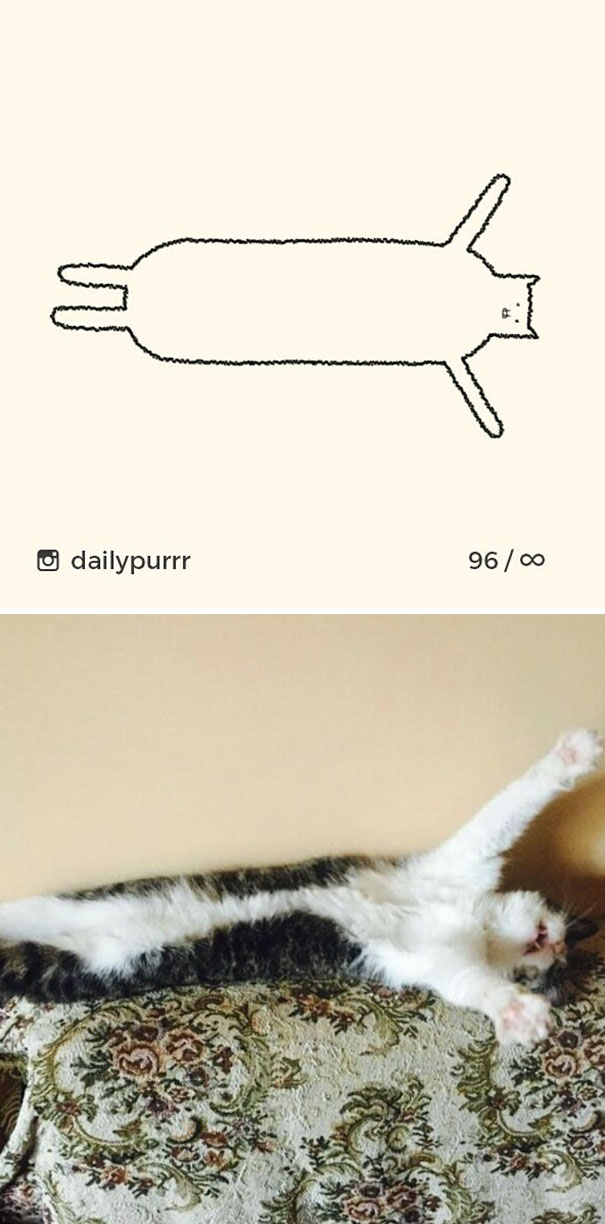 Stupid-Cat Drawings-Dailypurrr