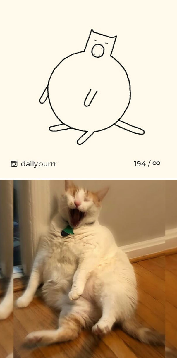 Stupid-Cat Drawings-Dailypurrr
