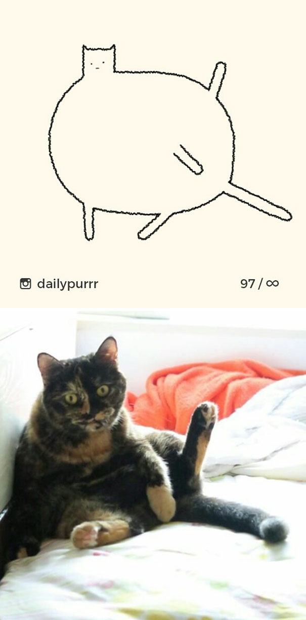 Stupid-Cat Drawings-Dailypurrr