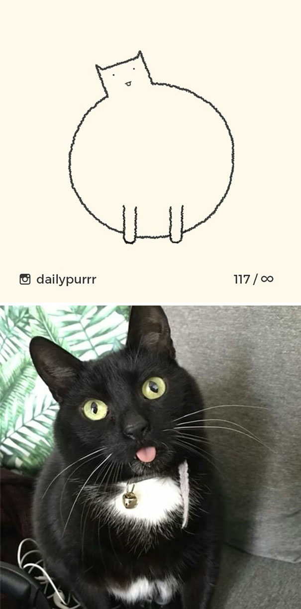 Stupid-Cat Drawings-Dailypurrr