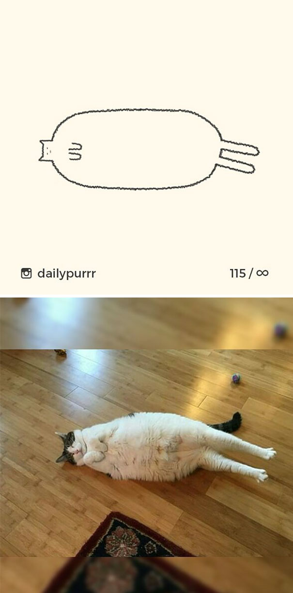 Stupid-Cat Drawings-Dailypurrr