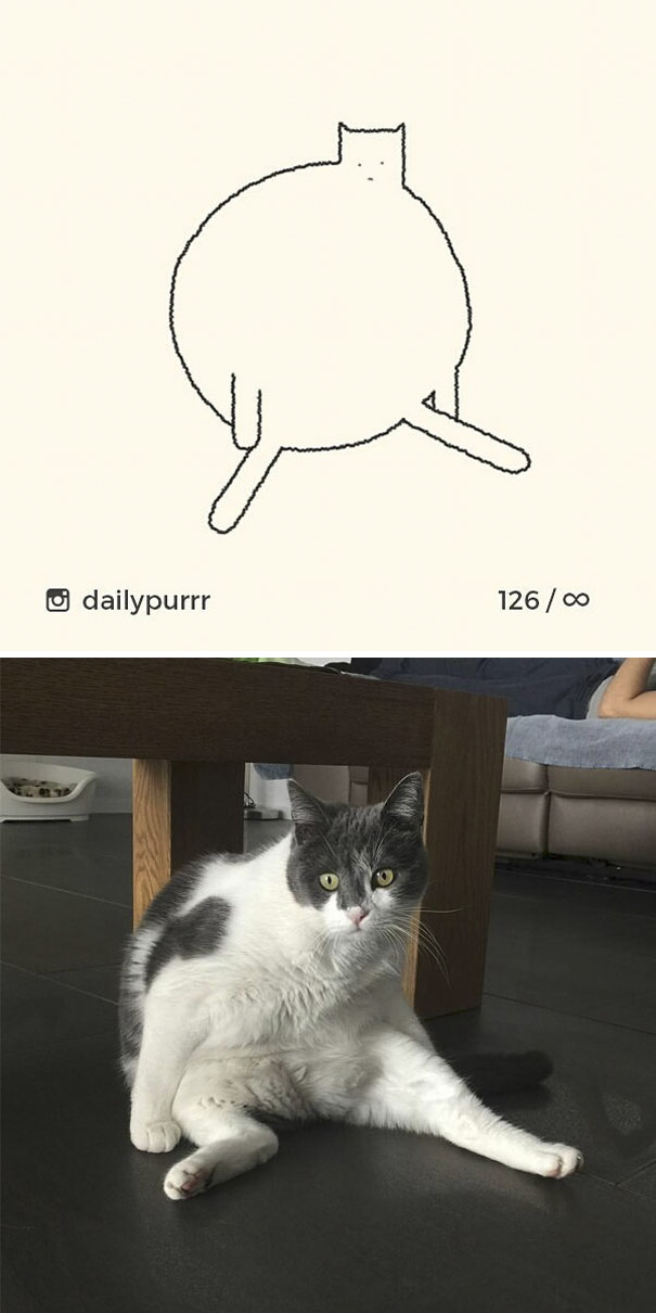 Stupid-Cat Drawings-Dailypurrr