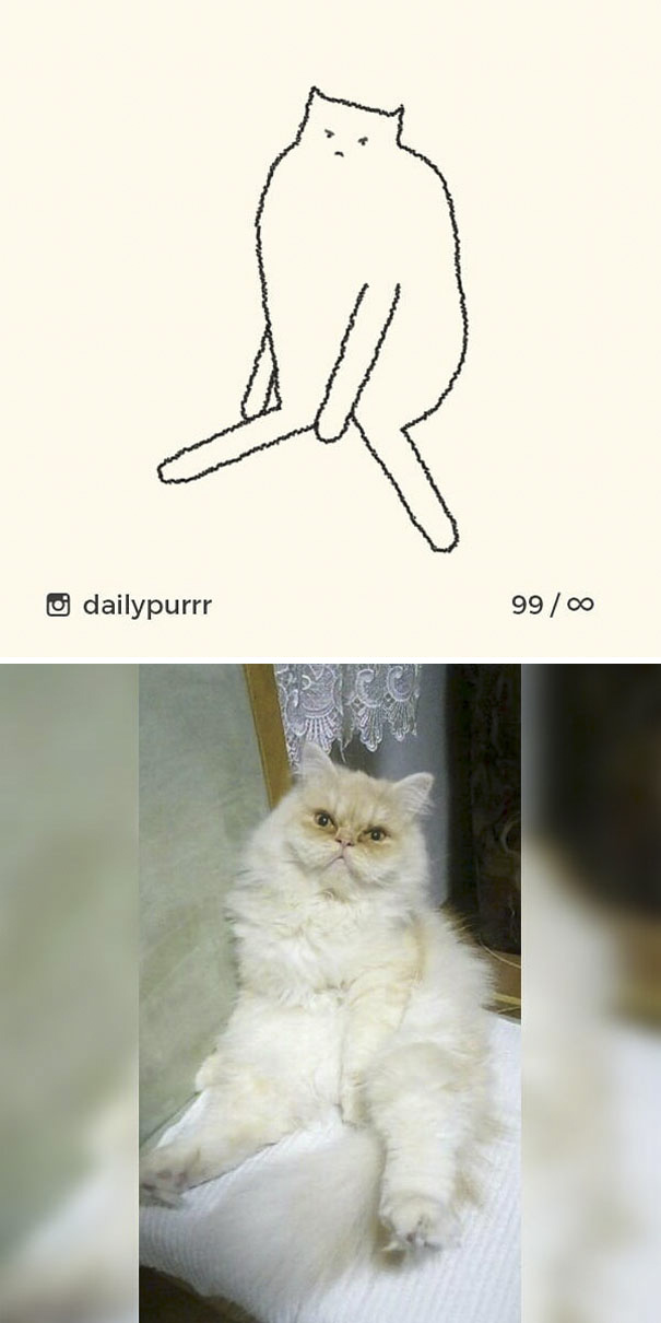 Stupid-Cat Drawings-Dailypurrr