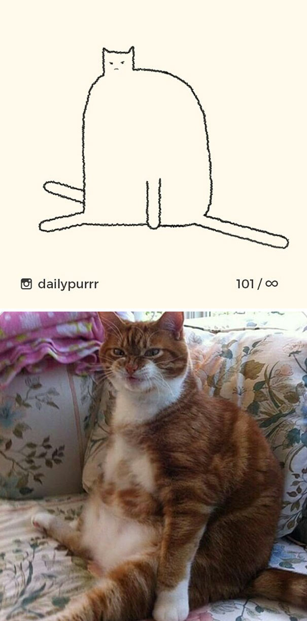 Stupid-Cat Drawings-Dailypurrr