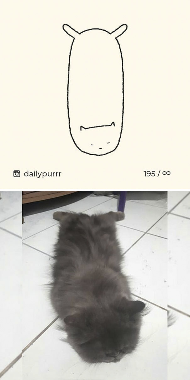 Stupid-Cat Drawings-Dailypurrr