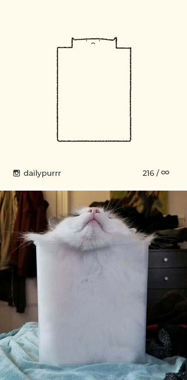 Stupid-Cat Drawings-Dailypurrr