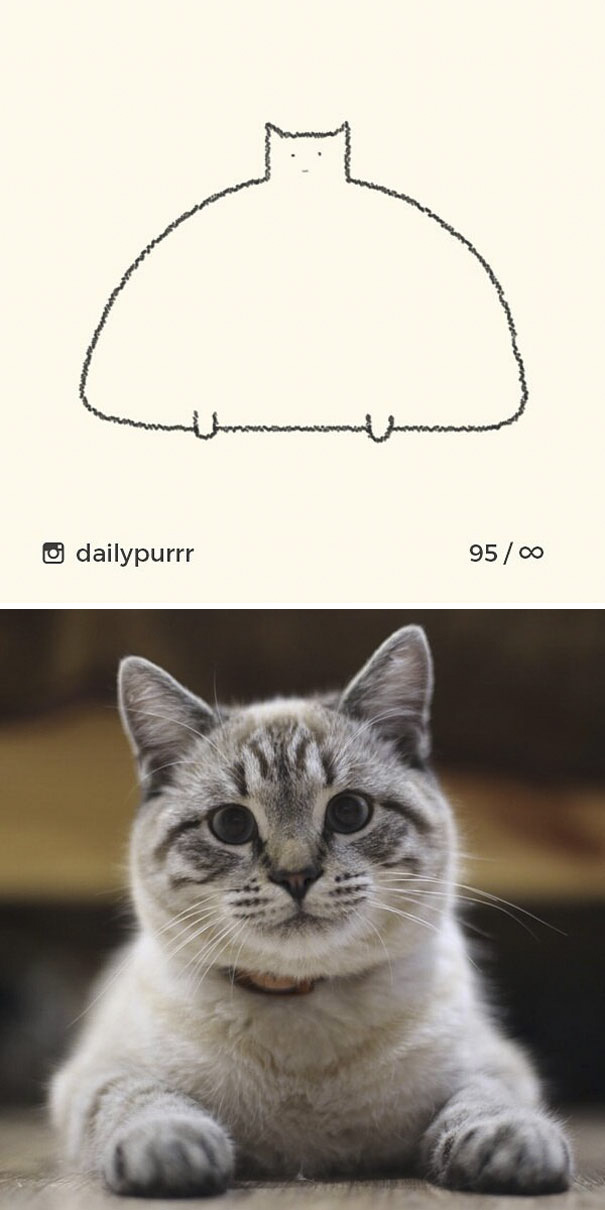 Stupid-Cat Drawings-Dailypurrr