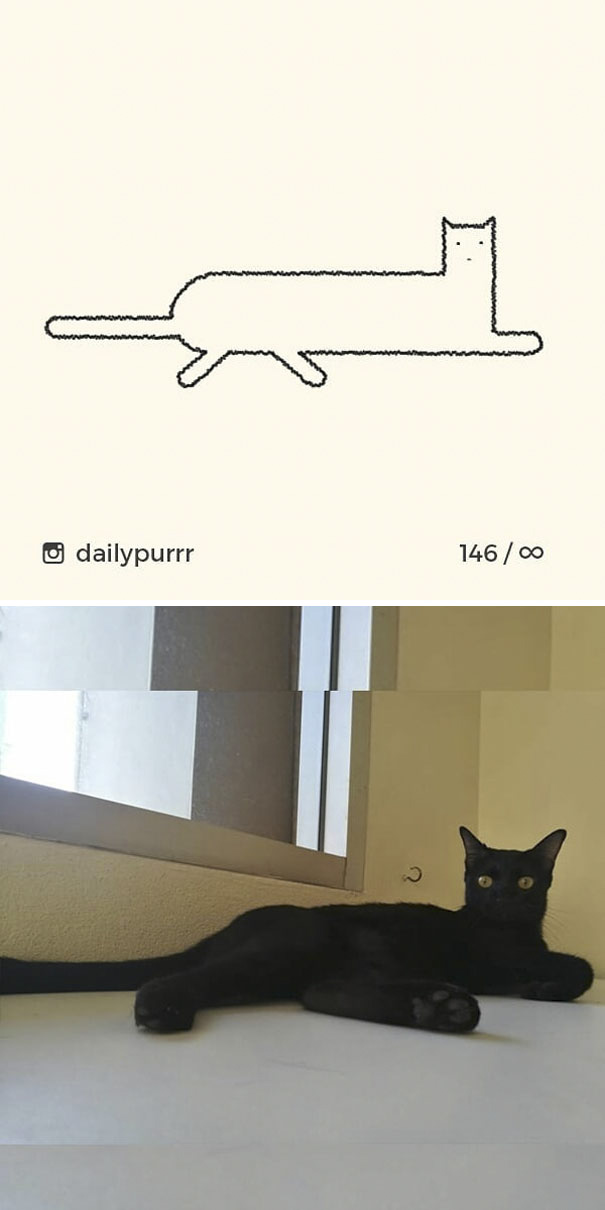 Stupid-Cat Drawings-Dailypurrr