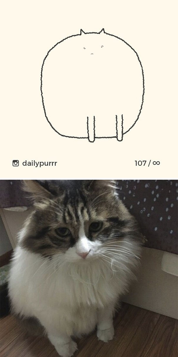 Stupid-Cat Drawings-Dailypurrr