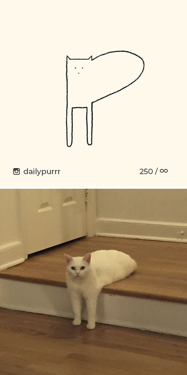 Stupid-Cat Drawings-Dailypurrr