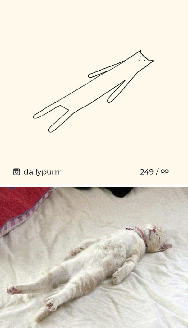 Stupid-Cat Drawings-Dailypurrr