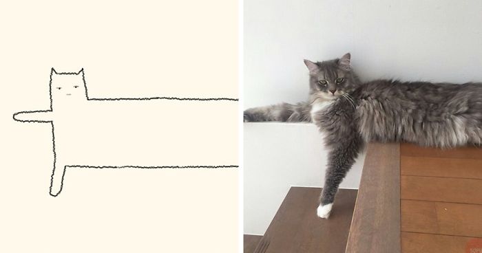 85 Times ‘Stupid Cat Drawings’ Made Everyone Laugh With How Accurate They Were