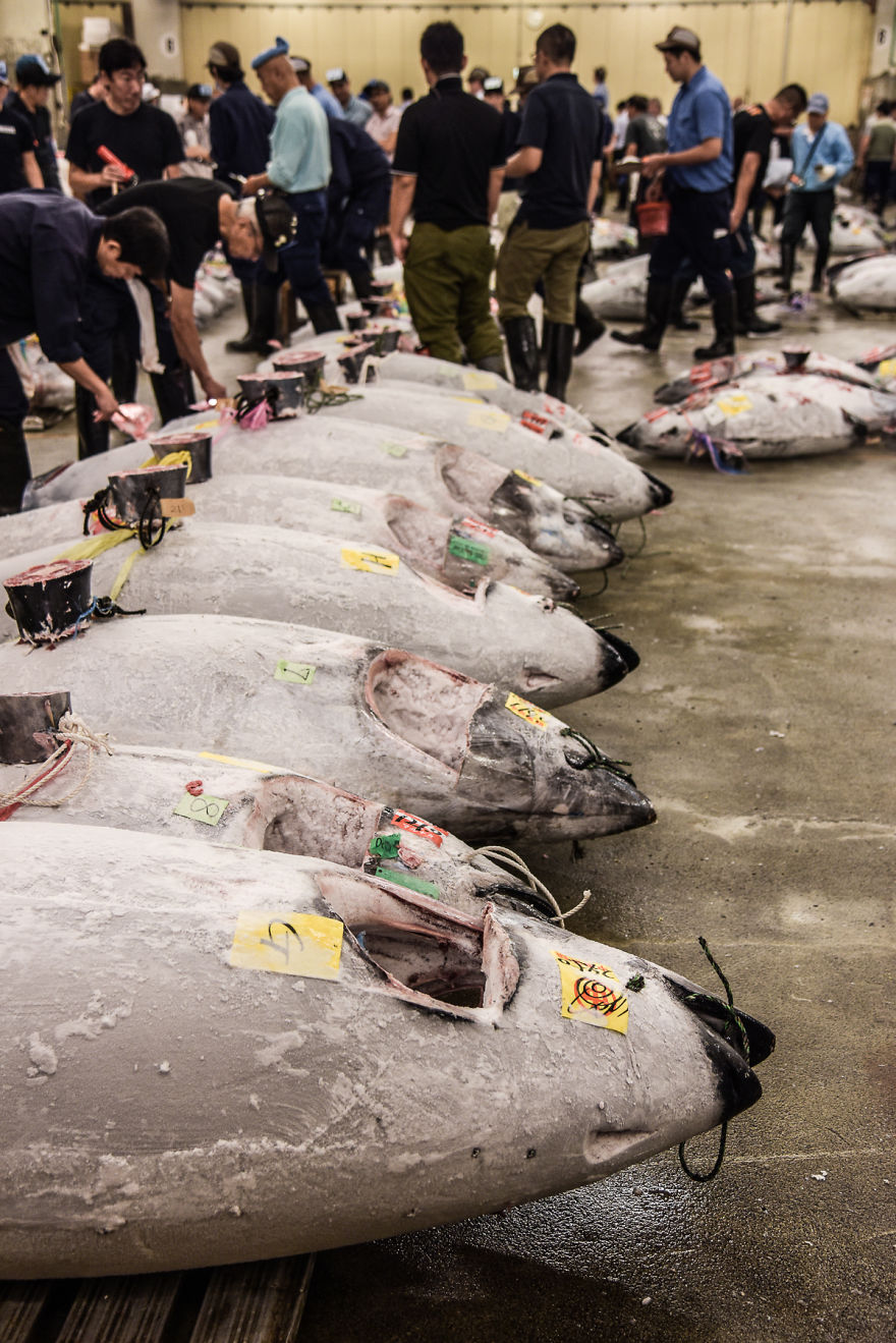 Help Me Spread The Last Message Of The Dying Iconic Fish Market In Tokyo... Maybe We Can Safe Tsukiji Together