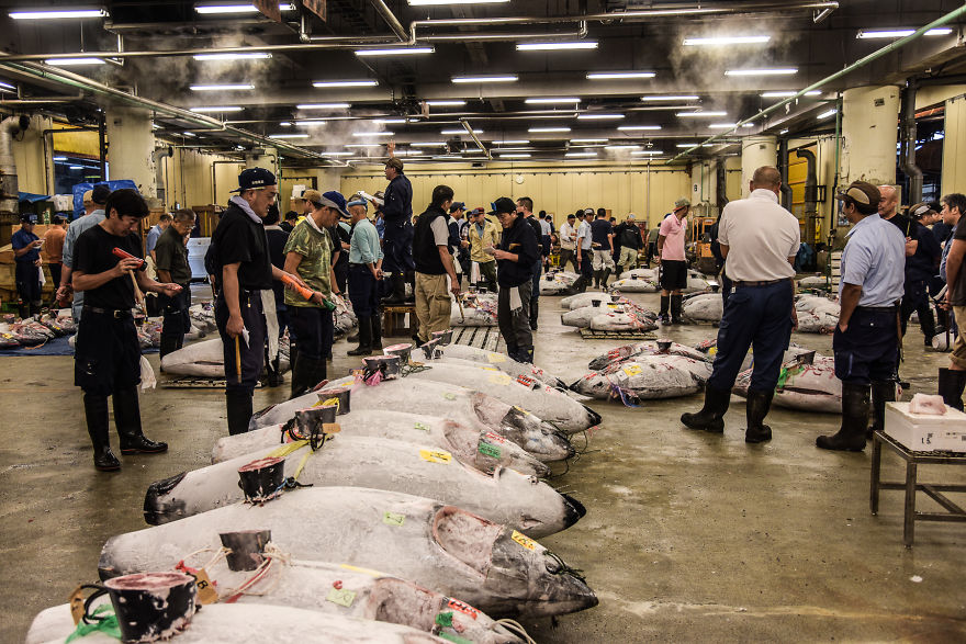 Help Me Spread The Last Message Of The Dying Iconic Fish Market In Tokyo... Maybe We Can Safe Tsukiji Together