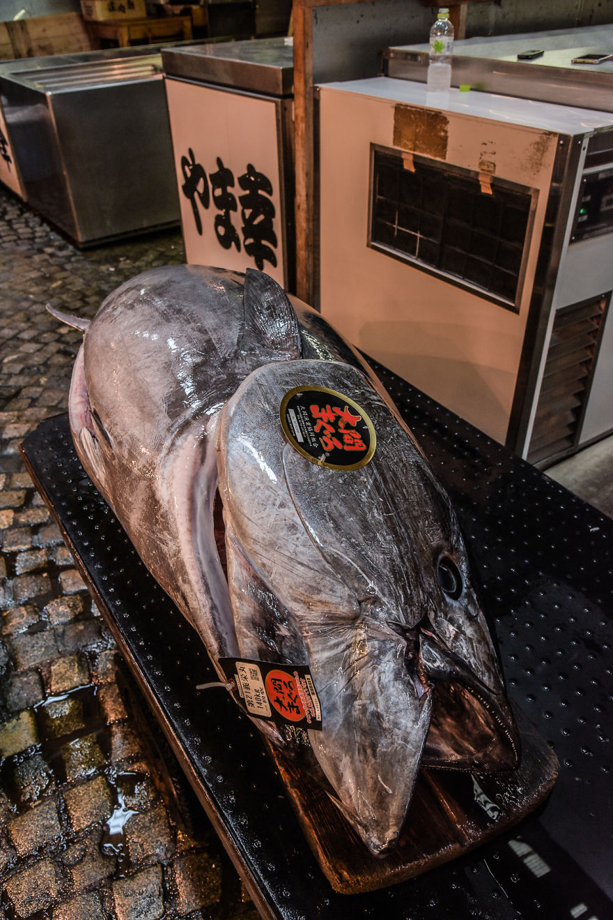 Help Me Spread The Last Message Of The Dying Iconic Fish Market In Tokyo... Maybe We Can Safe Tsukiji Together