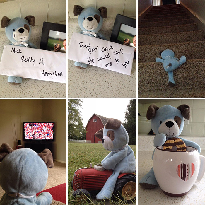 My Son Accidentally Left His Favorite Stuffed Animal, Hamilton, On My Dad's Farm. My Dad Had A Little Fun Making A Story Out Of It