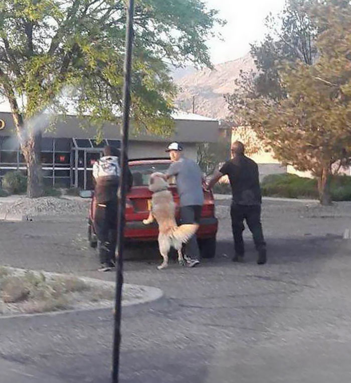 Don't Worry Humans! I'll Help You Push Your Broken Car