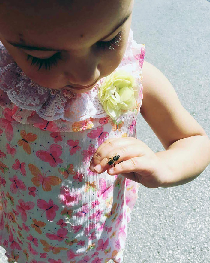 Daughter Had A Honey Stick And A Bee Decided To Land On Her. Before Panic Set In I Explained To Her That It Just Wanted To Nibble The Honey On Her Fingers And That It Was Her Friend. Panic Turned To Laughter And She Watched The Bee Until It Flew Away