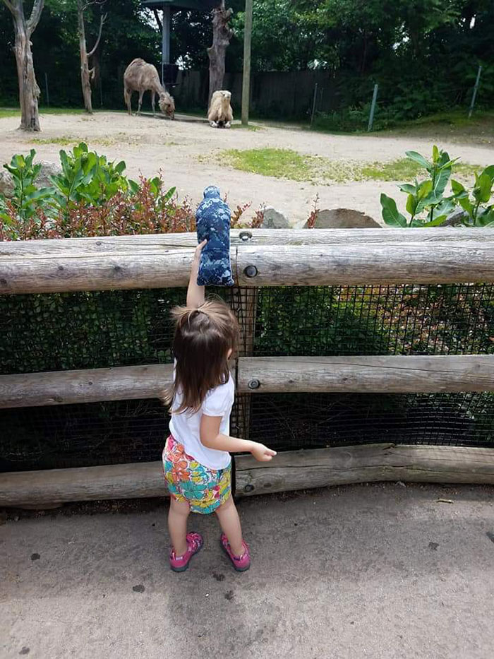 My Daughter Took Her "Daddy Doll" With Her Everywhere When I Was On Deployment. This Is Her Making Sure I Saw The Camels