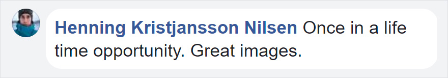 Photographer Shoots Epic Battle Between Fox And Eagle Over Rabbit, And It Gets More And More Epic With Each Photo