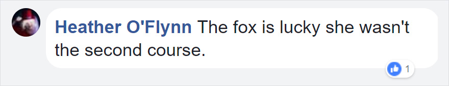 Photographer Shoots Epic Battle Between Fox And Eagle Over Rabbit, And It Gets More And More Epic With Each Photo Photographer Shoots Epic Battle Between Fox And Eagle Over Rabbit, And It Gets More And More Epic With Each Photo