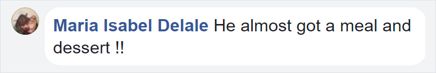 Photographer Shoots Epic Battle Between Fox And Eagle Over Rabbit, And It Gets More And More Epic With Each Photo