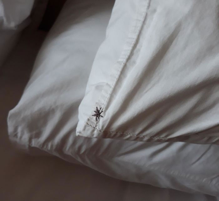 The Pillowcases At Our Hotel Have A "Palm Tree" Stitched On...