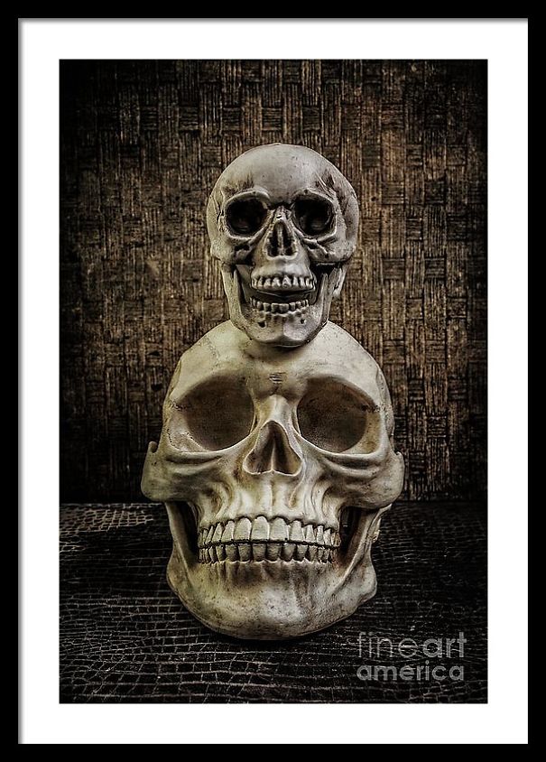 I Create Art Out Of Human Skulls I Create Art Out Of Human Skulls