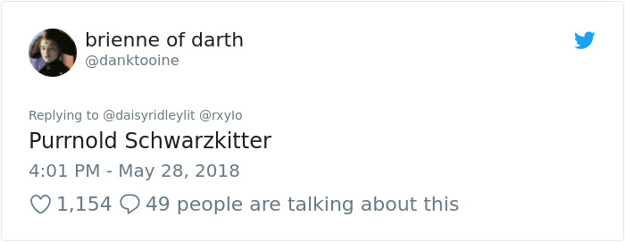 Insanely Muscular Cat Conquers The Internet And The Memes Are Hilarious Insanely Muscular Cat Conquers The Internet And The Memes Are Hilarious