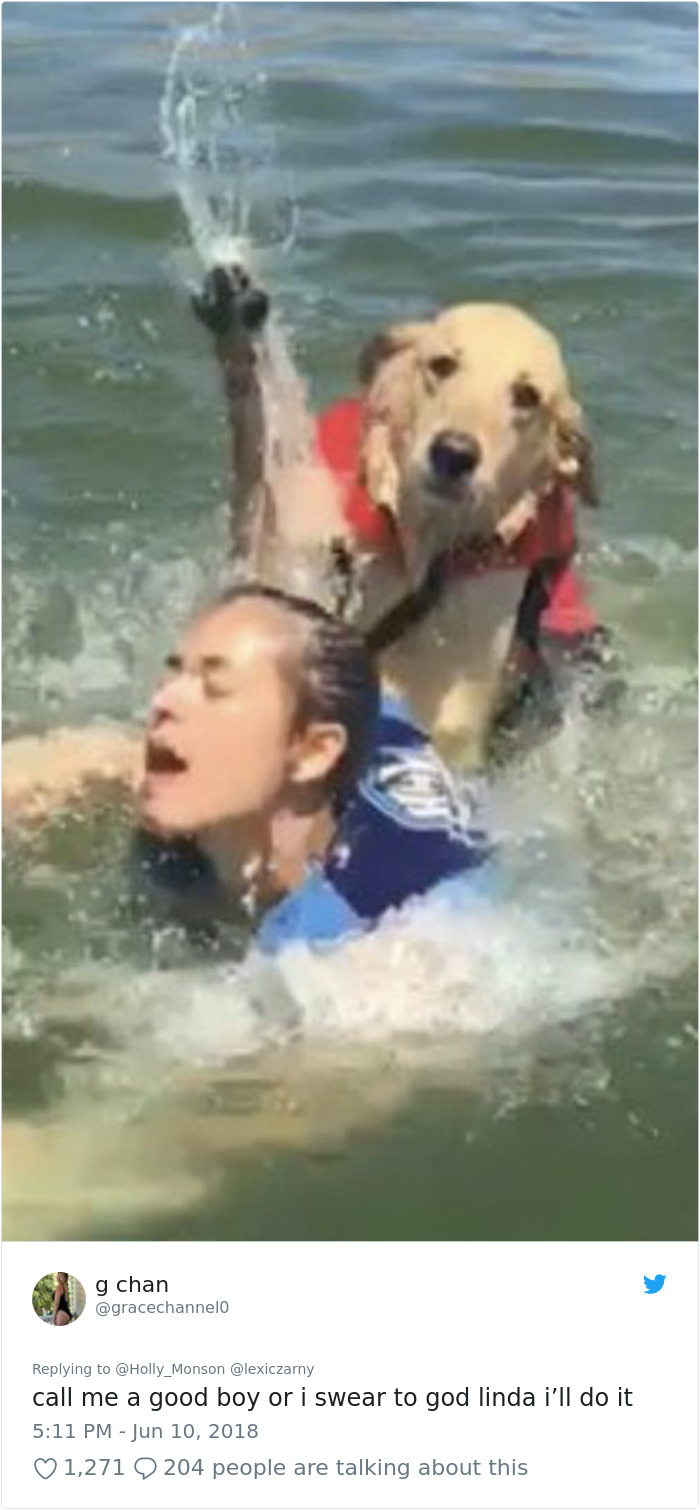 Internet Is Laughing Out Loud At The Way This Nice Lake Day Escalated Internet Is Laughing Out Loud At The Way This Nice Lake Day Escalated