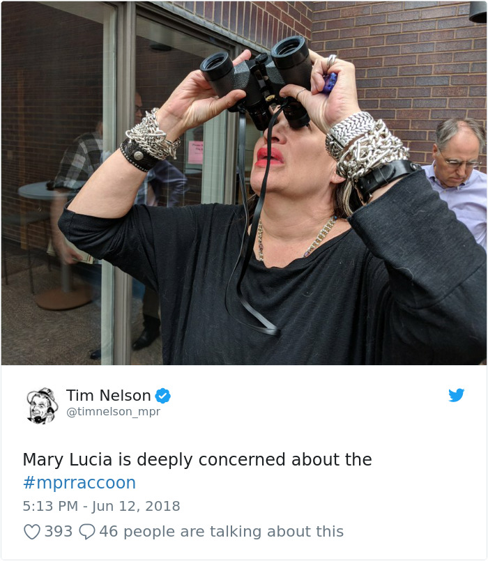 Internet Holds Its Breath As Raccoon Climbs A Skyscraper, And It Gets Scarier And Scarier With Every Pic Internet Holds Its Breath As Raccoon Climbs A Skyscraper, And It Gets Scarier And Scarier With Every Pic