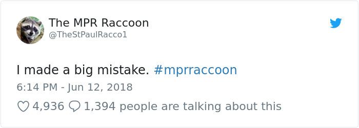 Internet Holds Its Breath As Raccoon Climbs A Skyscraper, And It Gets Scarier And Scarier With Every Pic